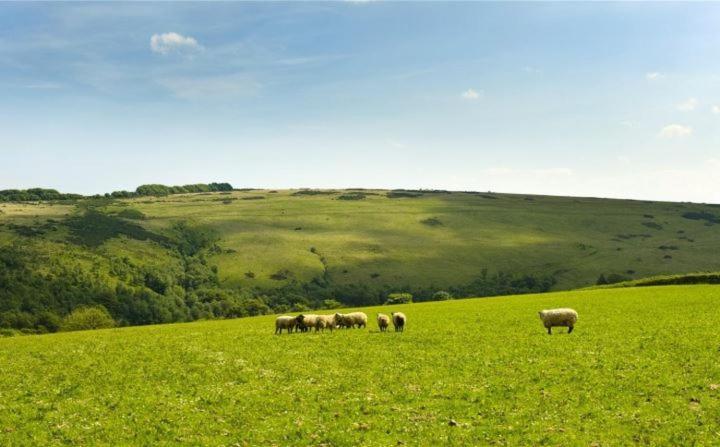 Bed and Breakfast Zeal Farm Dulverton Exterior foto