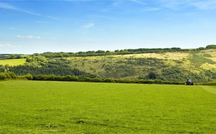 Bed and Breakfast Zeal Farm Dulverton Exterior foto