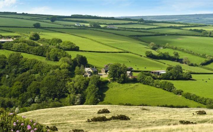 Bed and Breakfast Zeal Farm Dulverton Exterior foto