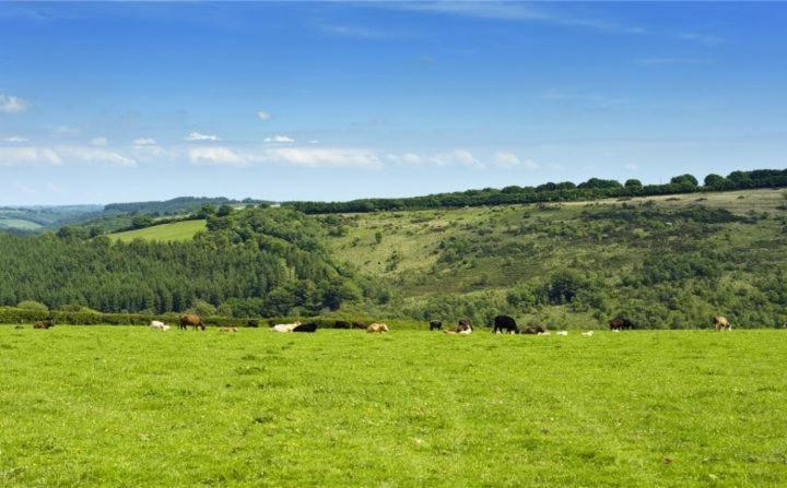 Bed and Breakfast Zeal Farm Dulverton Exterior foto