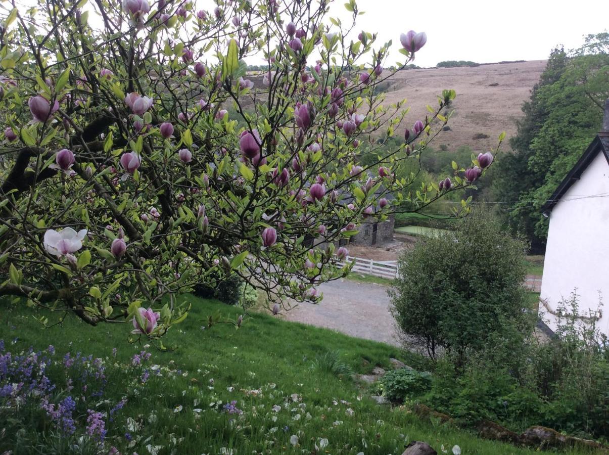Bed and Breakfast Zeal Farm Dulverton Exterior foto